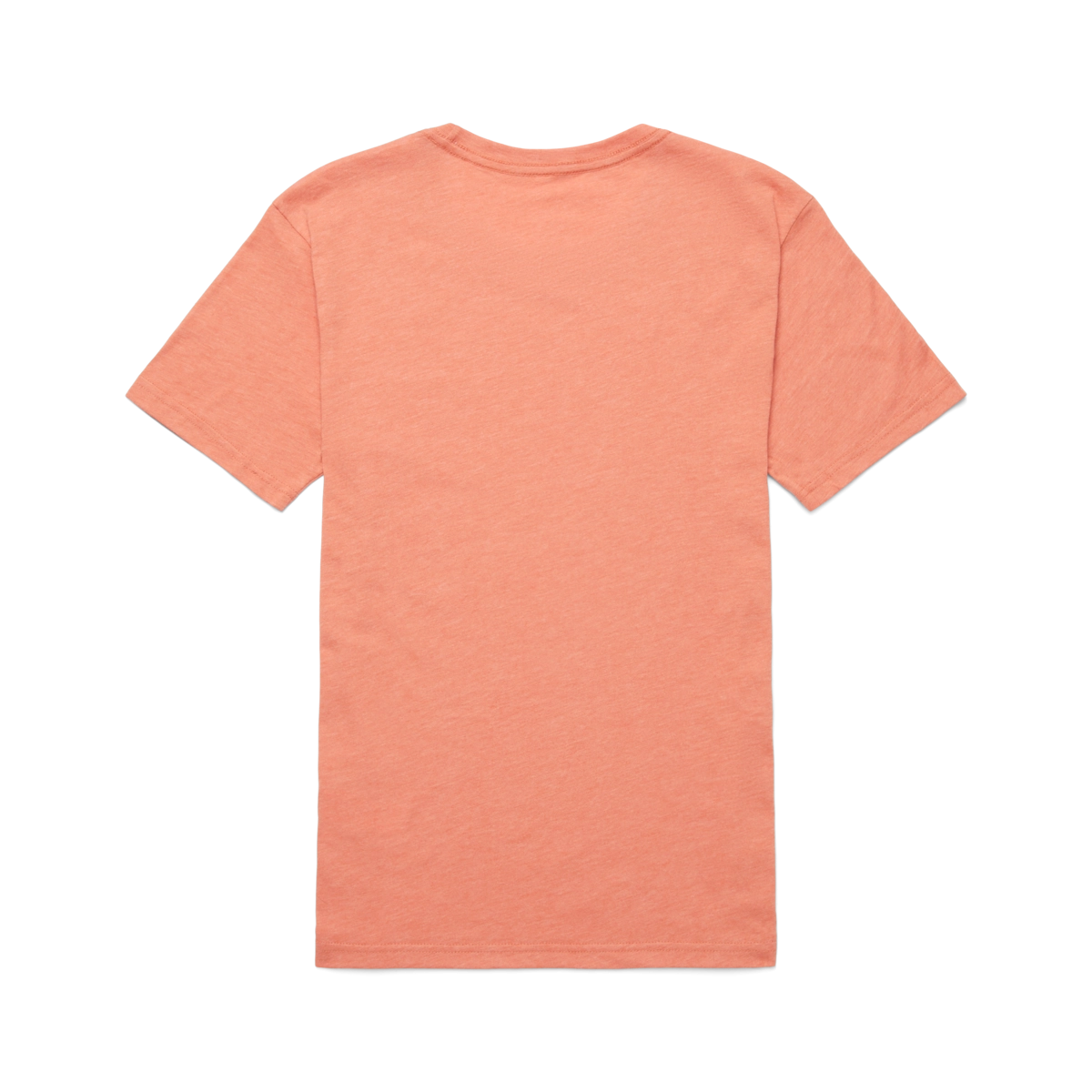 Topo Llama T-Shirt - Women's