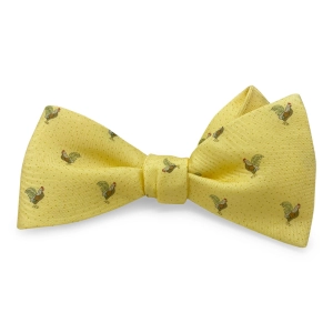 Wake Up Call: Bow - Yellow
